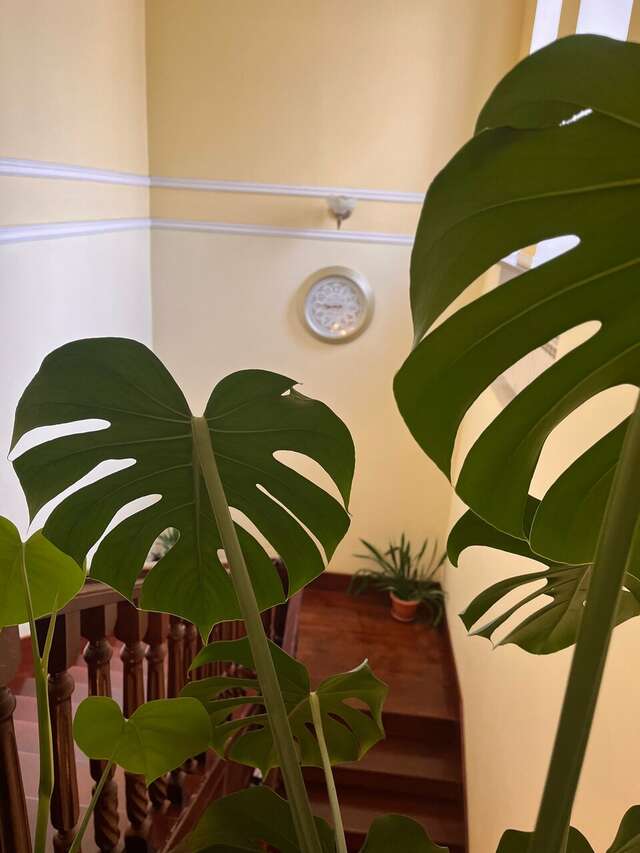 Гостиница Таврическая Симферополь-181