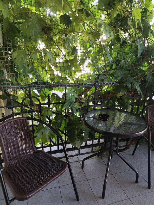 Гостиница Таврическая Симферополь-178