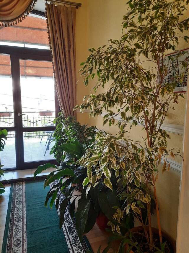 Гостиница Таврическая Симферополь-150